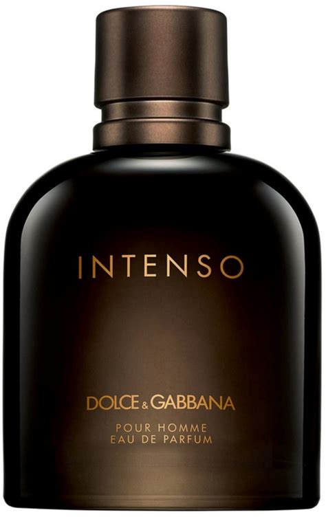 men's dolce and gabbana cologne|dolce and gabbana intenso men.